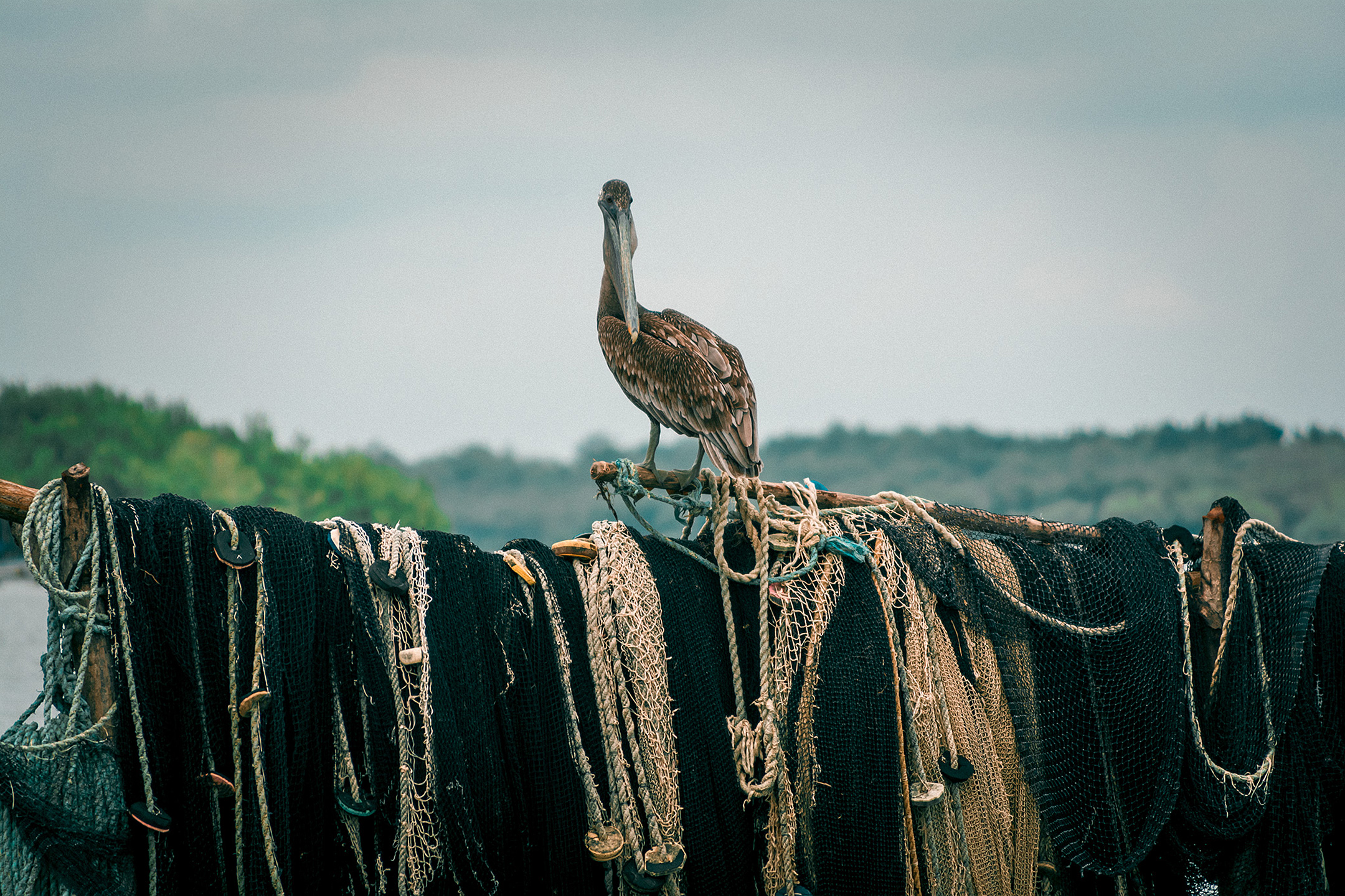 Freestyle Fotografie Kiel – Kreativer Stil